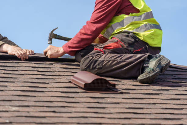 Roof Gutter Cleaning in La Plata, NM