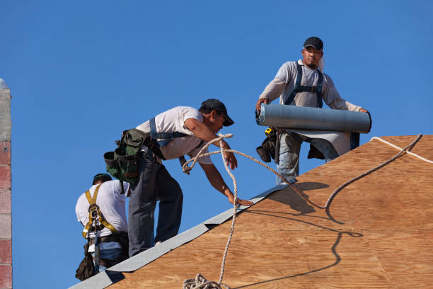 Best Roof Gutter Cleaning  in La Plata, NM